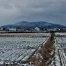 どカントリーブルース雪跡