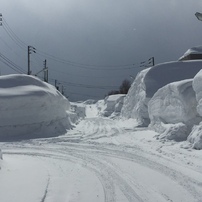 特別豪雪地帯 @ 北海道