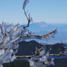 仰烏帽子山登山 氷の花(2)