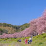 さくらまつりの思い出