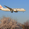 ☀「青い空」が一番  787-8 着陸します