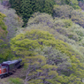 2018.4.13花のわたらせ渓谷鐡道⑫