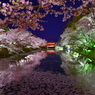 松岬公園の夜桜