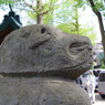 狛犬_穏田神社