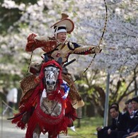 桜と流鏑馬