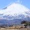 富士山の裾野を走る