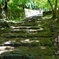 京都 新緑の階段