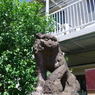 狛犬_田端日枝神社