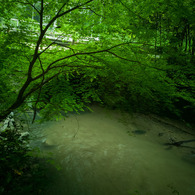 緑光、色づく小渓