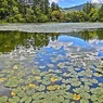 湖畔風景