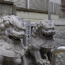 狛犬_荻窪白山神社