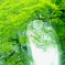 緑＆滝