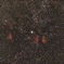 はくちょう座のガンマ星「サドル」周辺の散光星雲を初めて撮ってみた