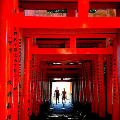 京都の恋