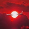 36 Fly in The Red Sky