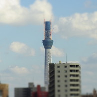 東京ｽｶｲﾂﾘｰ（2010年10月）