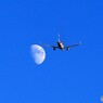 ☀「青い空」が一番 Jetstar A320 月へ飛ぶ