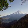 秀峰富士