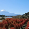 富士山と河口湖29