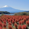 富士山と河口湖32
