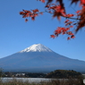富士山と河口湖77