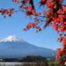 富士山と河口湖78