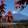 富士山と河口湖79