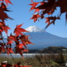 富士山と河口湖80