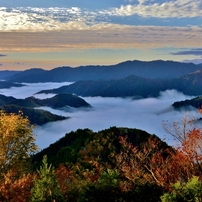 小入谷峠雲海