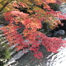 紅葉 in 三郎の滝(3)  181108-074
