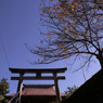 只見　八幡神社の秋