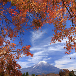 富士秋景