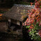 水車小屋と紅葉