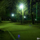 羽根木公園の夜景