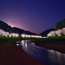 南伊豆町の夜桜