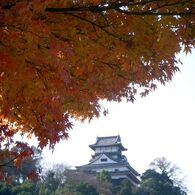 紅葉と犬山城