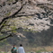 桜の祝福