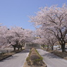 中央の遊歩道