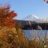 富士山　秋
