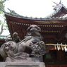 狛犬_荏原神社