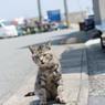 膝の上に乗ってきたお兄ちゃん