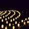 candle lights