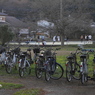 写真歌：自転車の群れ or 人の群れ？：NTW221