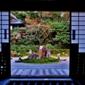 彦根龍潭寺額縁のふだらくの庭