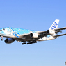 「ブルー」Flying Honu A380-841 Landing