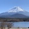 山散歩9 精進湖からの富士山