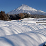 雪晴れの日に