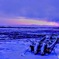 石狩川旧渡船場 雪の夕景