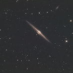 春の銀河祭り 《NGC4565》