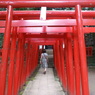 稲荷神社鳥居